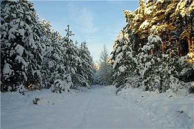 EA向《EA Sports FC 25》玩家发放专属版齐达内卡片